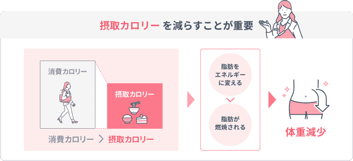 カロリー制限を表す画像