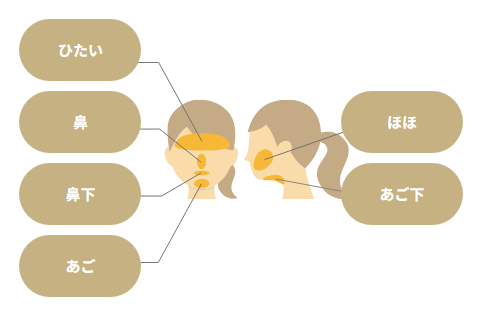 リゼクリニック 顔の照射範囲