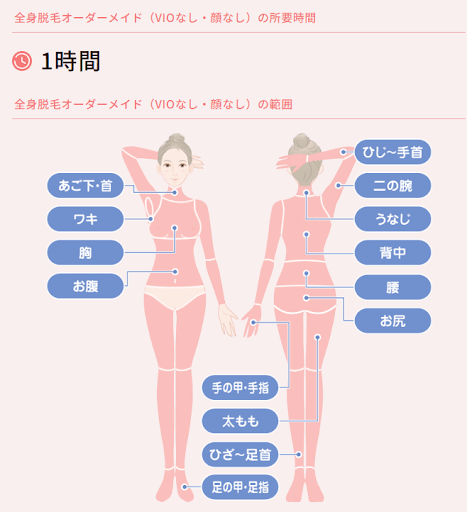 TCBの全身脱毛1時間の補足画像