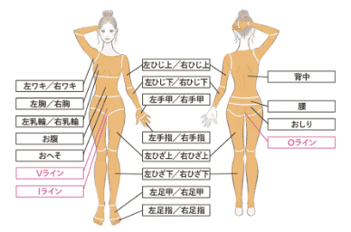 デビュープランレジーナクリニックの説明画像