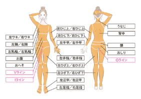全身脱毛プランレジーナクリニックの説明画像